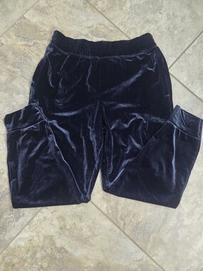 Fabletics Dark Navy Velvet Joggers
